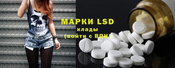 PSILOCYBIN Алзамай