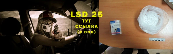 PSILOCYBIN Алзамай