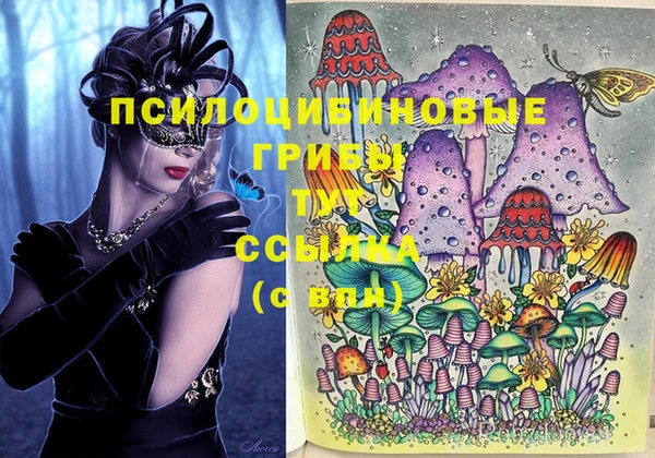 круглые Алексеевка