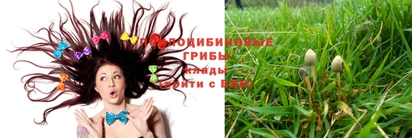 PSILOCYBIN Алзамай