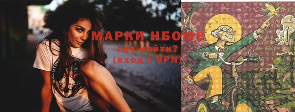 PSILOCYBIN Алзамай