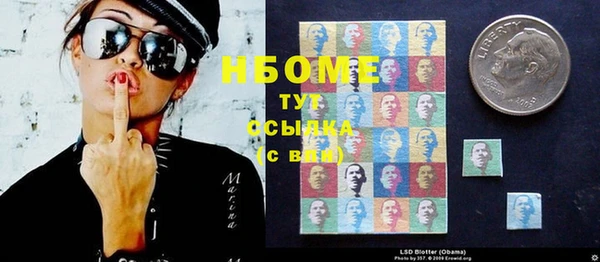 прущие грибы Алексин