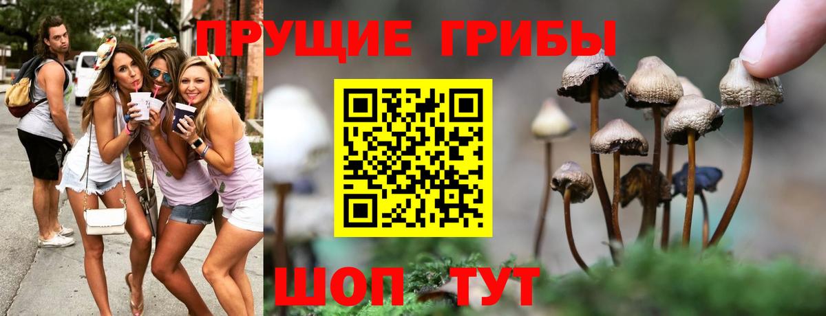 Богородск  Галлюциногенные грибы Magic Shrooms  Псилоцибиновые грибы прущие грибы  наркота  Вход с VPN 