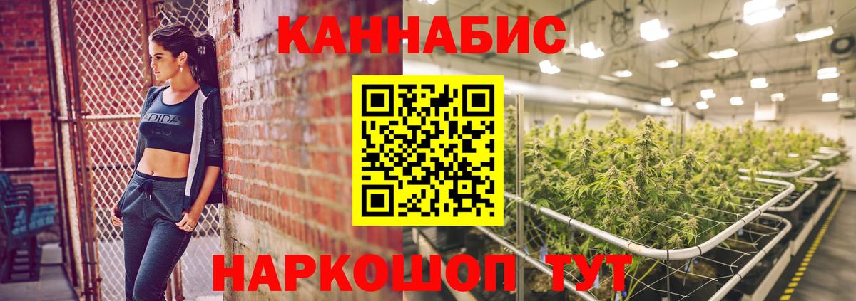 Шишки марихуана планчик  Бошки Шишки AK-47  Богородск  Вход с VPN  Марихуана сатива 